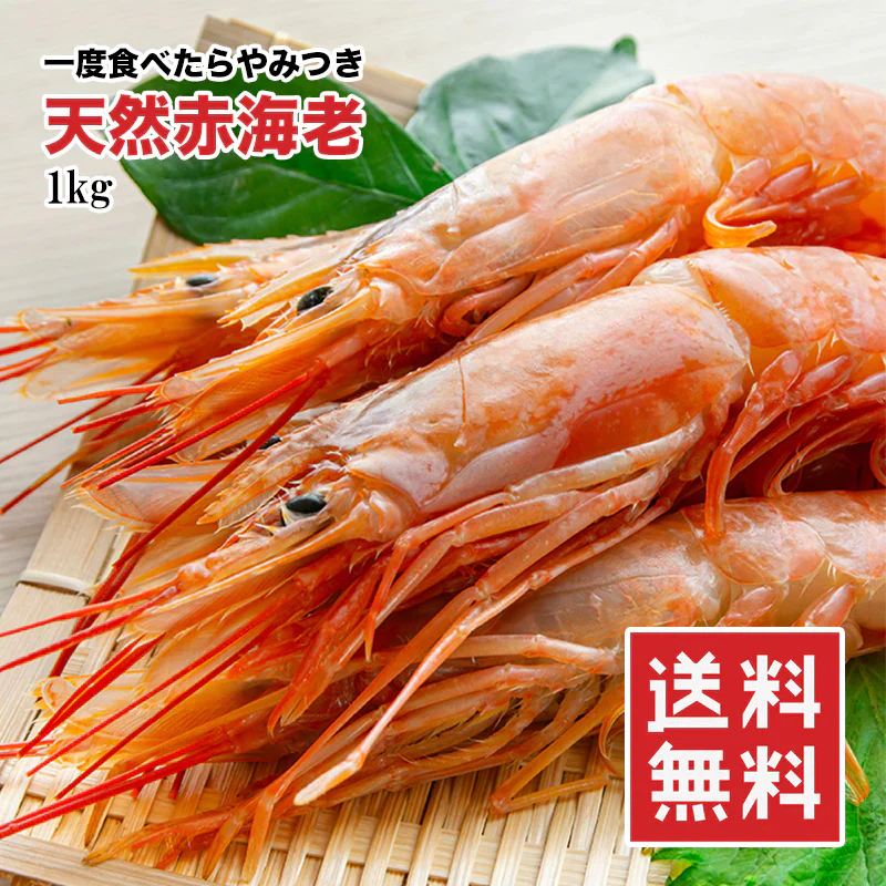 赤海老 えび 大型 天然 800g 生食用