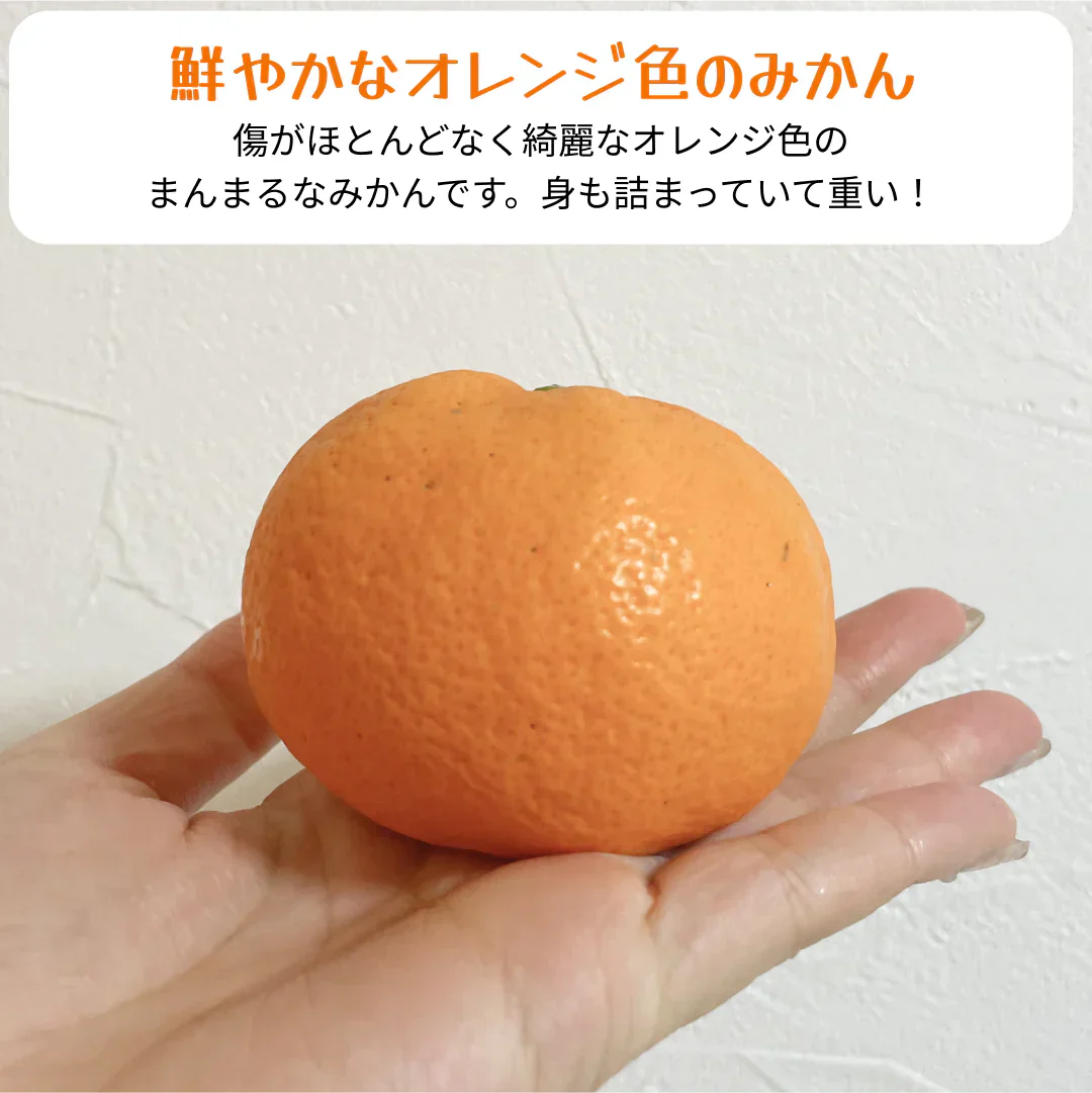 【極 / 濃厚】和歌山県 有田みかん 5キロ