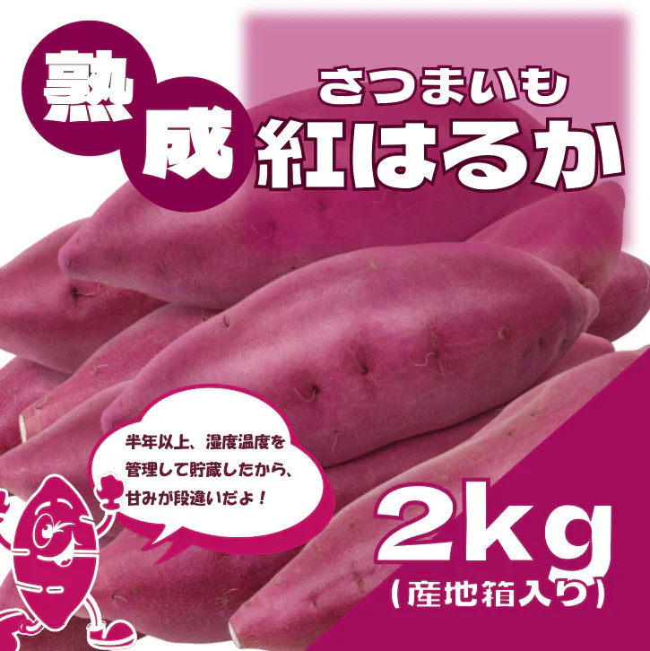 【サイズ無選別!60サイズ箱いっぱい!千葉県産紅はるか　貯蔵芋　長期保存に最適な土付き】産直　さつまいも