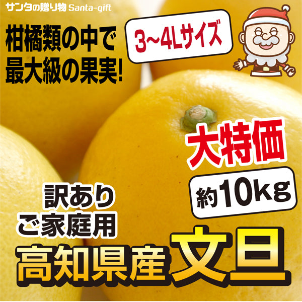 超目玉価格 大玉 4L-3Lサイズ 文旦 訳あり 10kg 送料無料 高知県産 土佐文旦
