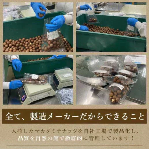 殻付きマカダミアナッツ 300g 送料無料【ご新規さん限定商品】
