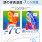 【頭部冷却効果抜群！】＼2個／頭部冷却 頭皮冷却 夏用 冷却帽子パッド 帽子 保冷剤 頭 冷やす 保冷 暑さ対策 氷のう 猛暑対策 氷枕 アイスキャップマット 男女兼用 ハイキング キャンプ 山登り 旅行 通勤 色ランダム