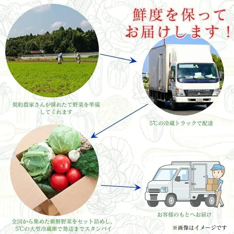 [みさわのやさい] サーモン ハラス 訳あり 切り落とし 600g（200gｘ3パック） 刺身用 冷凍 アトランティックサーモン or トラウトサーモン 生食用 切り身