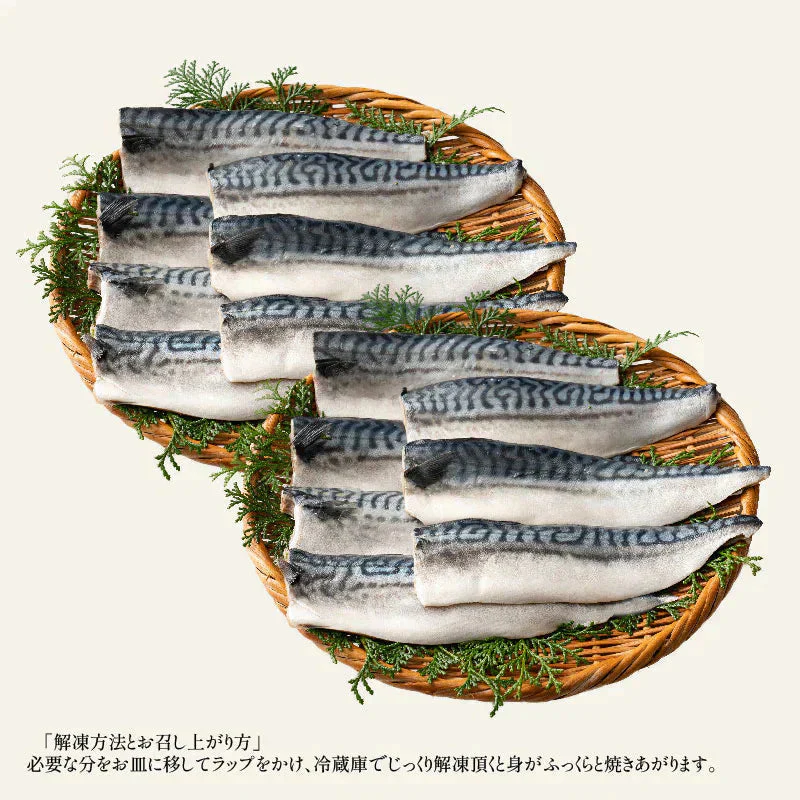 さば 無添加 無塩 トロさば サバ 鯖 約2kg(12〜16尾）トロ鯖 海鮮 天然 美味しい 魚 魚介 海産物 おかず おつまみ 乾き物 酒の肴 贈り物 お取り寄せグルメ 食べ物 おいしい 絶品