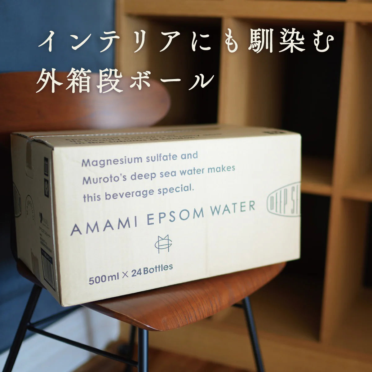 美と健康の炭酸水 エプソムウォーター 500ml 48本