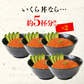いくら 醤油漬け 250g×2パック 計500g 粒は小さいけど味は抜群！ サーモン トラウト 丼 軍艦 手巻き寿司 ちらし寿司 送料無料 冷凍便 お取り寄せグルメ 食品 ギフト