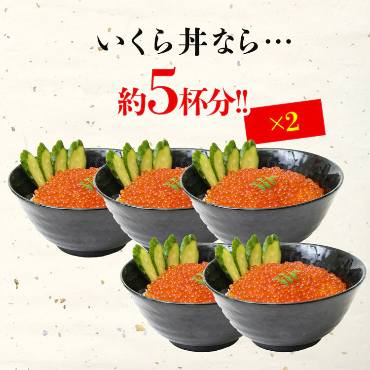 いくら 醤油漬け 250g×2パック 計500g 粒は小さいけど味は抜群！ サーモン トラウト 丼 軍艦 手巻き寿司 ちらし寿司 送料無料 冷凍便 お取り寄せグルメ 食品 ギフト