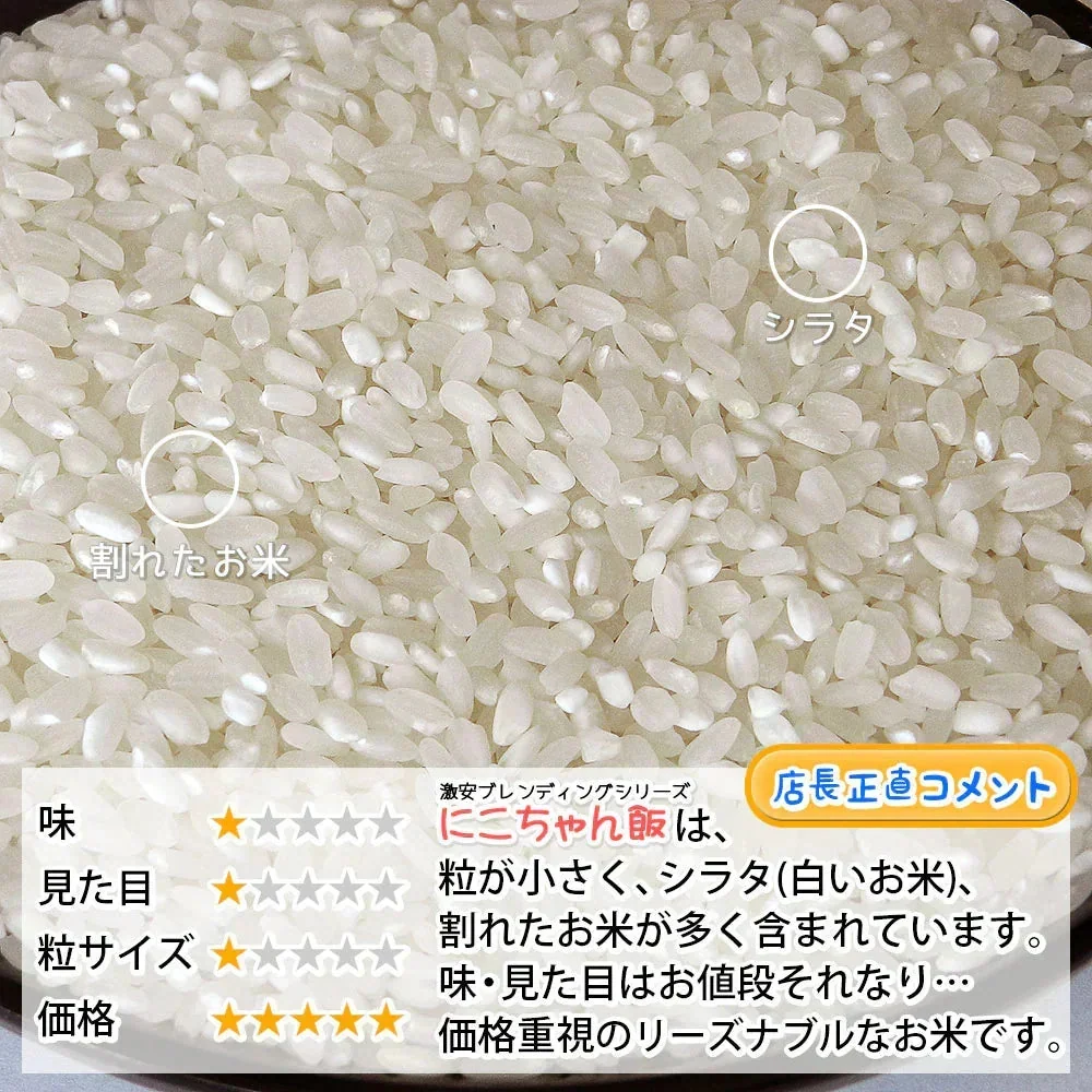 白米 10kg (5kg×2袋) にこちゃん飯 国内産 送料無料 米10キロ こめ コメ お米 お米10kg