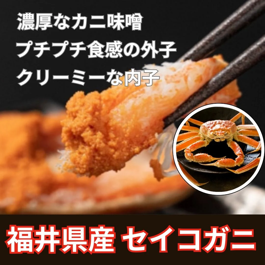 【1年で2か月しか漁ができない超希少越前ガニ！】福井県産　浜ゆで冷凍　3匹（小サイズ/1匹約100g前後）