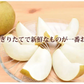 梨 新高 送料無料 秀品 約3kg 5〜8玉 熊本県産 お取り寄せ フルーツ ナシ なし 豊水 秋月