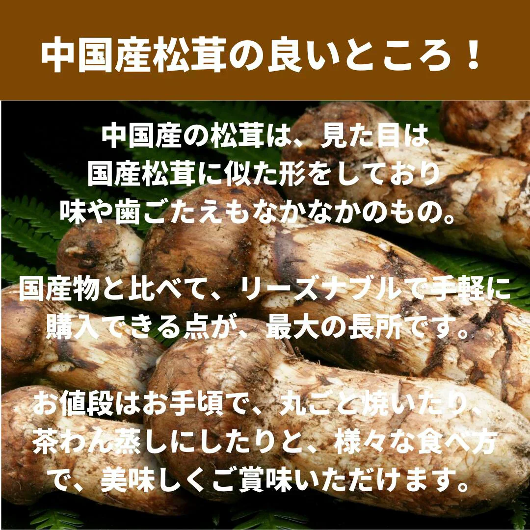 松茸(まつたけ) 中国産 約100グラム程度