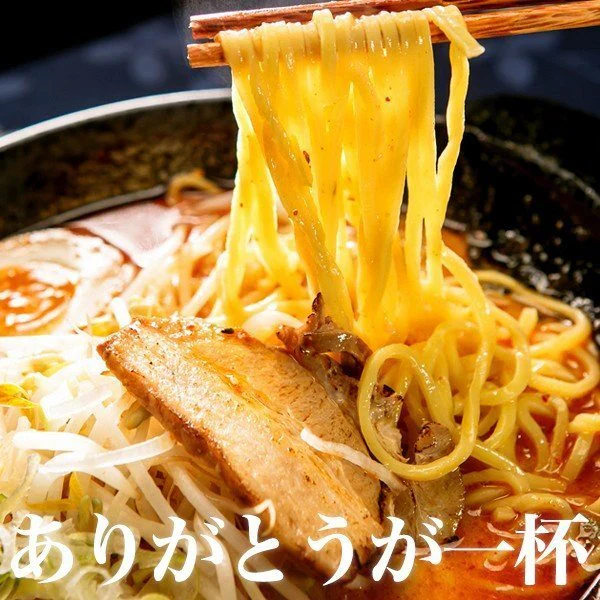 送料無料 ご当地 生ラーメン 6食セット 北海道ラーメン ラーメン アソート らーめん 食品 生麺  お試し  グルメ 麺屋 どんまい【ご新規さん限定商品】