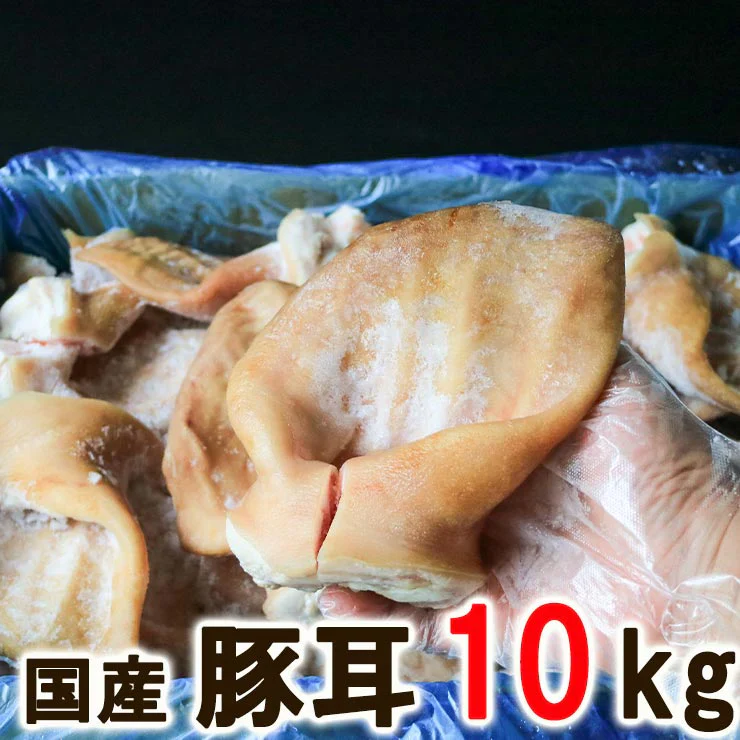 国産 豚耳 約10kg