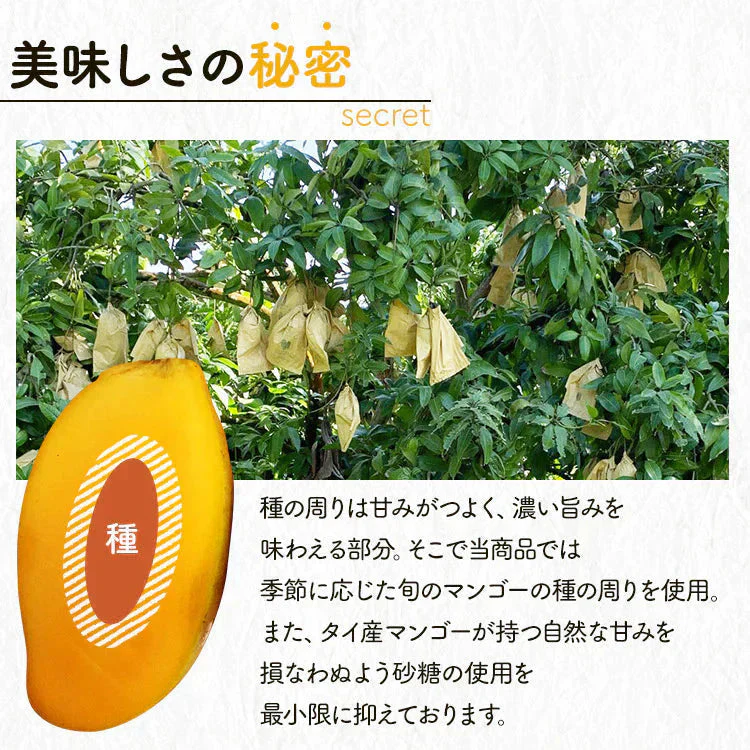 【カートアップNG】不揃い ドライマンゴー 500g×2袋