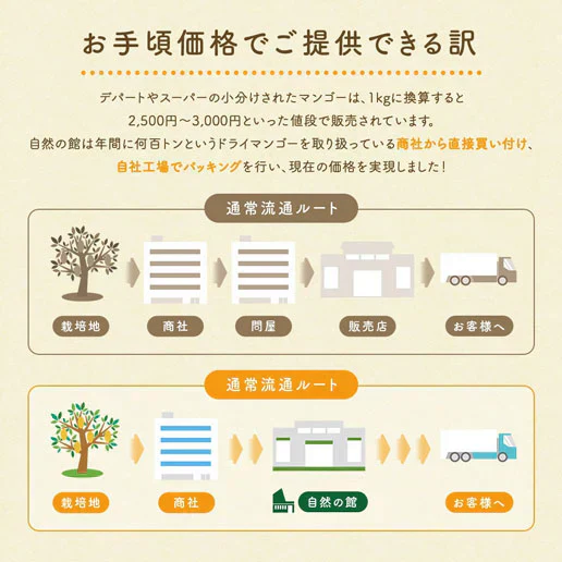 700g セブ島 半生ドライマンゴー 訳あり 不揃い 果実酢作りにおすすめ 送料無料