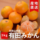 【極 / 濃厚】和歌山県 有田みかん 5キロ