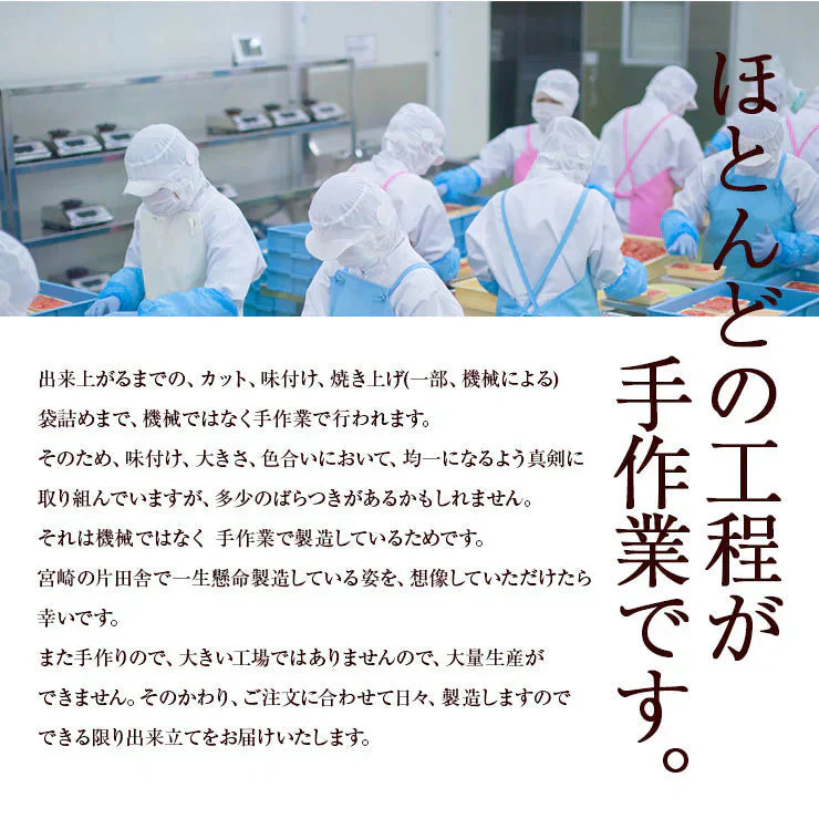 牛すじの炭火焼(牛スジ 牛筋)100g×6袋