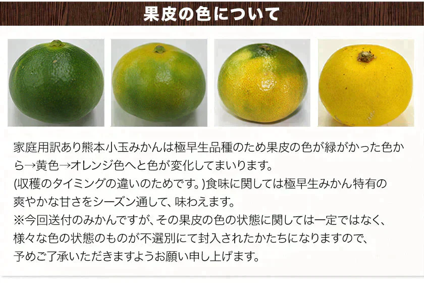 小玉 みかん 訳あり 送料無料 1.5kg 小粒 ミカン 柑橘 熊本 極早生 3s-sサイズ 家庭用 7-14営業日以内に出荷予定(土日祝除く)【ご新規さん限定商品】