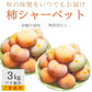冷凍 庄内柿 3kg バラ詰め ご家庭用 完熟柿 柿シャーベット アイス フローズン フルーツ まるごと サイズ 玉数 おまかせ 無添加 国産