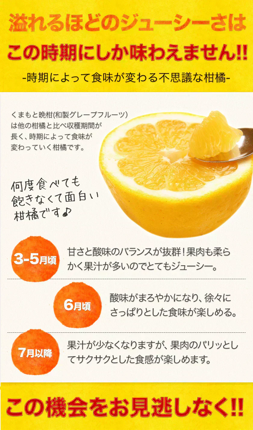 河内晩柑 送料無料 1.5kg 和製 グレープフルーツ 旬 の フルーツ 果物 みかん 訳あり 夏文旦 晩柑 宇和ゴールド ジューシーみかん 熊本県産 《1-5営業日以内に発送予定(土日祝日除く)》