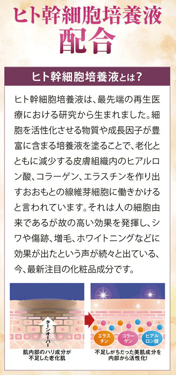 美女クリエイト ＢＪプレミアムスティック【目袋ケア たるみ シワ くすみ プラセンタ 美容成分 ヒト幹細胞培養液配合 生協で大人気 感動の目袋ケア】シミ対策 密着 集中ケア ターンオーバー ヒト幹細胞培養液 シミ対策 密着 集中ケア ターンオーバー  アンチエイジング おやすみ前に塗るだけ スクワラン ミネラルオイル セレシン マカデミア 老化対策 目元 目袋 加齢 老化 ハリ 透明感 美容パッチ コラーゲン プラセンタ シミ シワ 小じわ 老け顔 しみ しわ  美白 黒ずみ