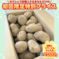 訳あり・規格外北海道じゃがいも 5kg【ご新規さん限定商品】