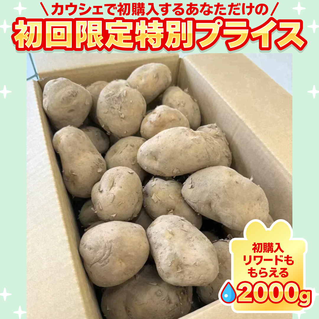 訳あり・規格外北海道じゃがいも 5kg【ご新規さん限定商品】