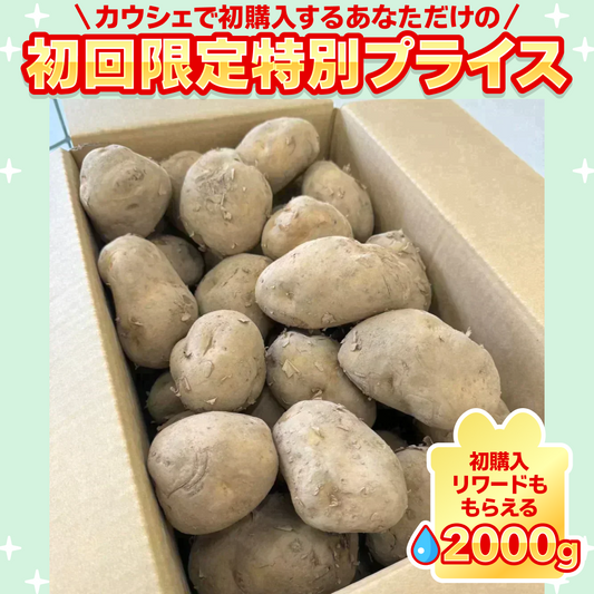 訳あり・規格外北海道じゃがいも 5kg【ご新規さん限定商品】