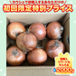 たまねぎ 約2kg 送料無料【ご新規さん限定商品】　60サイズ