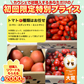 トマト🍅（トマト・ミディトマト・ミニトマトなど種類は出品者おまかせ）送料無料【ご新規さん限定商品】60サイズ