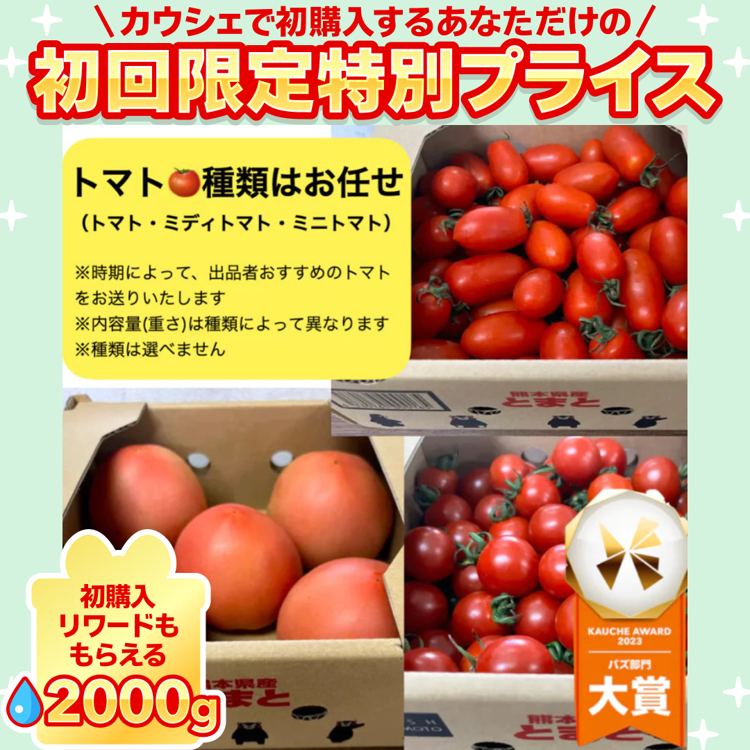 トマト🍅（トマト・ミディトマト・ミニトマトなど種類は出品者おまかせ）送料無料【ご新規さん限定商品】60サイズ