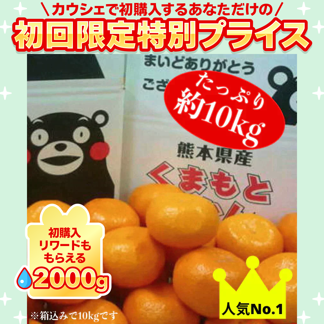 熊本産 みかん 訳あり 約10kg（箱込10kg 9kg+保証分500g）ご家庭用 送料無料 ※不良500g以上の場合は再送対応可能【ご新規さん限定商品】