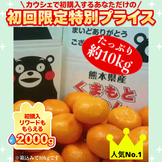 熊本産 みかん 訳あり 約10kg（箱込10kg 9kg+保証分500g）ご家庭用 送料無料 ※不良500g以上の場合は再送対応可能【ご新規さん限定商品】