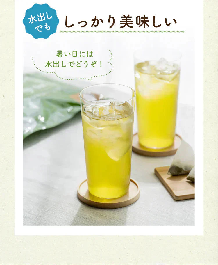 静岡県産緑茶 ティーライフのまかない茶 100個入