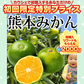 みかん 訳あり 送料無料 2kg 熊本みかん 熊本県産 極早生みかん 蜜柑 ミカン【ご新規さん限定商品】