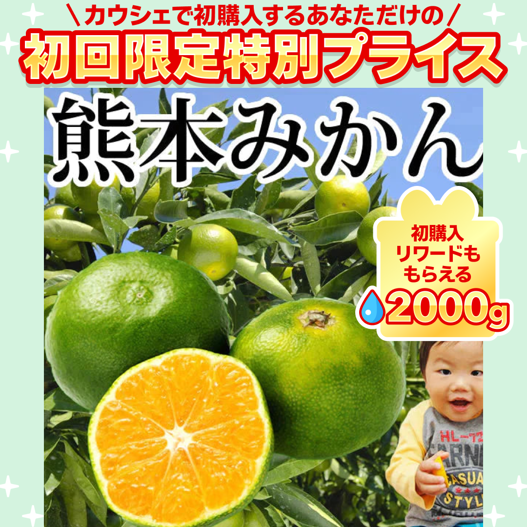 みかん 訳あり 送料無料 2kg 熊本みかん 熊本県産 極早生みかん 蜜柑 ミカン【ご新規さん限定商品】