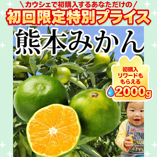 みかん 訳あり 送料無料 2kg 熊本みかん 熊本県産 極早生みかん 蜜柑 ミカン【ご新規さん限定商品】