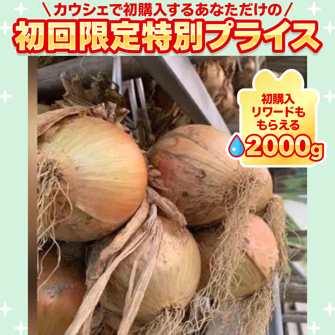 [6-8個]訳あり玉ねぎ2kg🧅シャーロットオニオン🧅淡路島極熟玉葱🧅送料無料 たまねぎ タマネギ【ご新規さん限定商品】