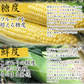 【8月下旬-9月下旬頃発送】嶽きみ 青森県が誇るプレミアム とうもろこし 12本セット まるで果物のような甘さ トウモロコシ コーン