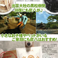 調湿木炭 炭八 室内用大袋 1個入