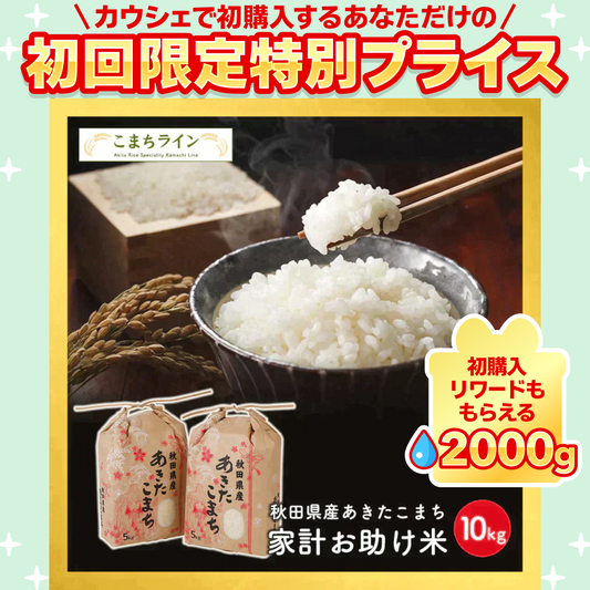 あきたこまち 10kg（5ｋｇ×2袋）家計お助け米 令和5年産【ご新規さん限定商品】