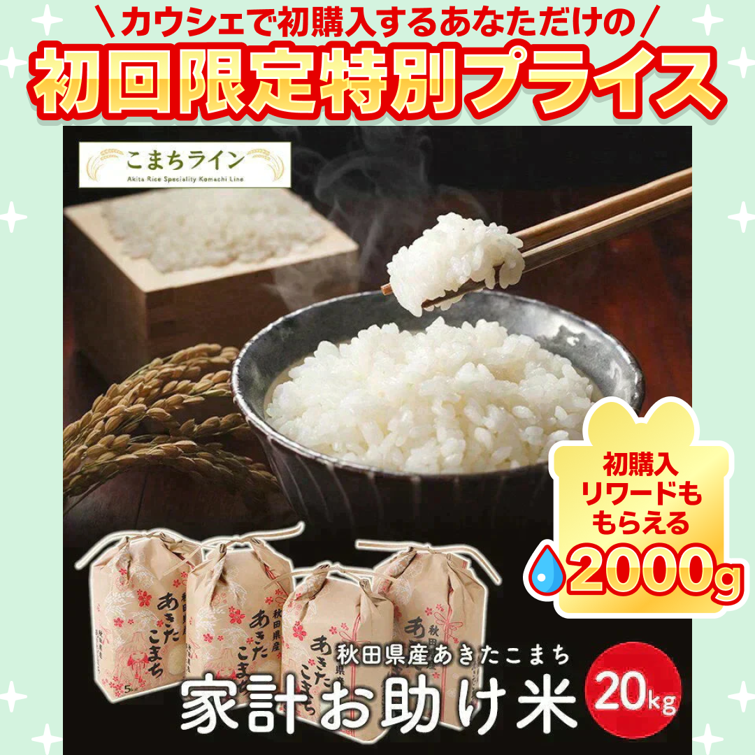 【お助け米20ｋｇ】令和5年産　あきたこまち　家計お助け米　農家直送便　20ｋｇ（5ｋｇ×4袋）　米びつ当番【天鷹唐辛子】プレゼント付き【ご新規さん限定商品】