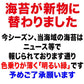 【最安値挑戦祭】訳あり 全形 焼きのり 有明 焼き海苔　45枚 送料無料 メール便限定