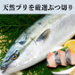 天然ブリ 冷凍 ブツ切り 2kg