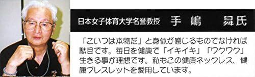 マイナスイオンネックレス 遠赤外線 健康 冷え性緩和 血行促進 レディース メンズ / 快線浴一番 マイナスイオン 遠赤外線ネックレス