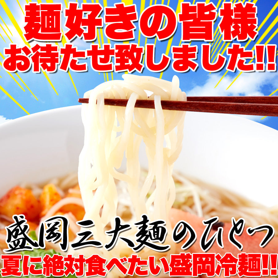 本場名産品!!老舗の盛岡冷麺 ４食スープ付き 100ｇ×4袋 盛岡 冷麺 ゆうパケット