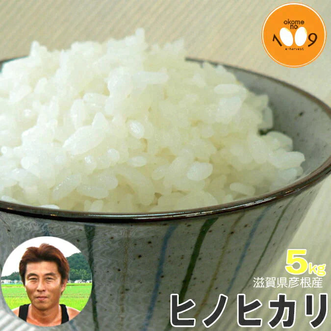 新米 滋賀県彦根産 ヒノヒカリ 白米 5kg 西村悟 令和6年産 環境こだわり農産物