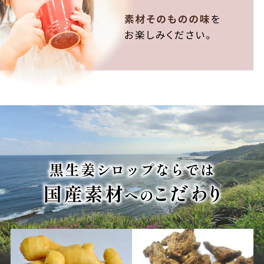 風土日和 国産 ジンジャーシロップ 無添加 熟成発酵黒生姜使用 賞味期限：2026年4月4日 | オーガライフ