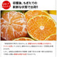小玉 みかん 送料無料 訳あり みかん 小粒 1.5kg 家庭用 箱買い 果物 小粒 熊本 極早生 柑橘 九州 訳アリ だけど 小玉 で 甘い 蜜柑 わけあり 《9月中旬-9月末頃より発送予定》