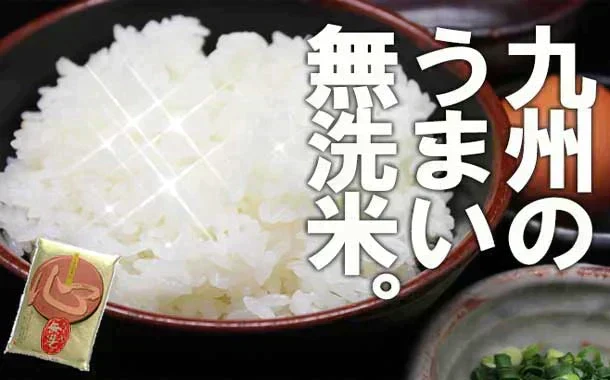 無洗米 九州産 心 25kg まとめ買い 当店人気ナンバー1♪ 令和7年産 九州産米 送料無料 ガチうまい無洗米 ご家庭でも、業務用でも